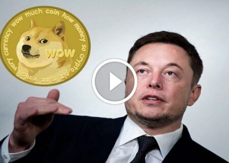 ایلان ماسک قراره پرداخت دوج کوین رو تو توییتر امکان‌پذیر کنه.