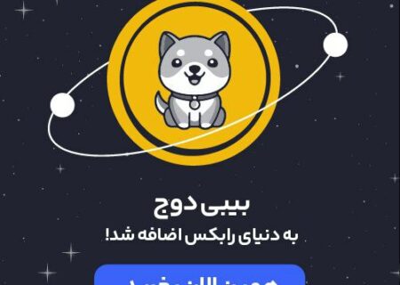 رمز ارز بیبی دوج (Baby Doge) با نماد BABYDOGE به رابکس اضافه شد.