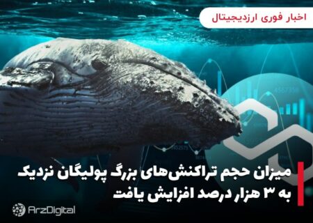 میزان حجم تراکنش‌های بزرگ پولیگان نزدیک به ۳ هزار درصد افزایش یافت
