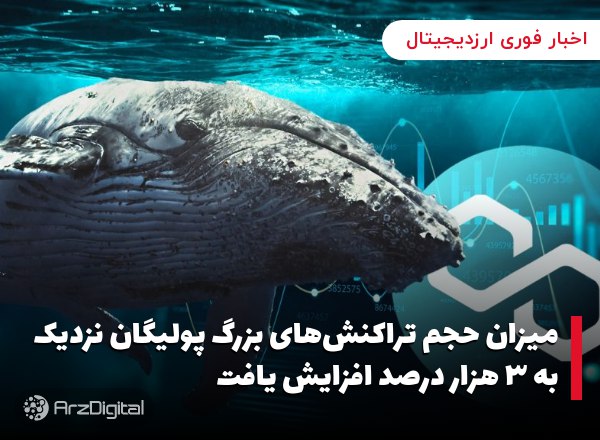 میزان حجم تراکنش‌های بزرگ پولیگان نزدیک به ۳ هزار درصد افزایش یافت