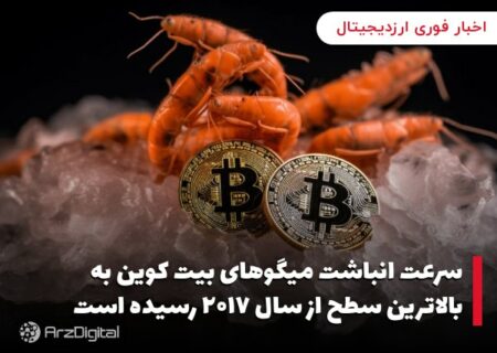 سرعت انباشت میگوهای بیت کوین به بالاترین سطح از سال ۲۰۱۷ رسیده است