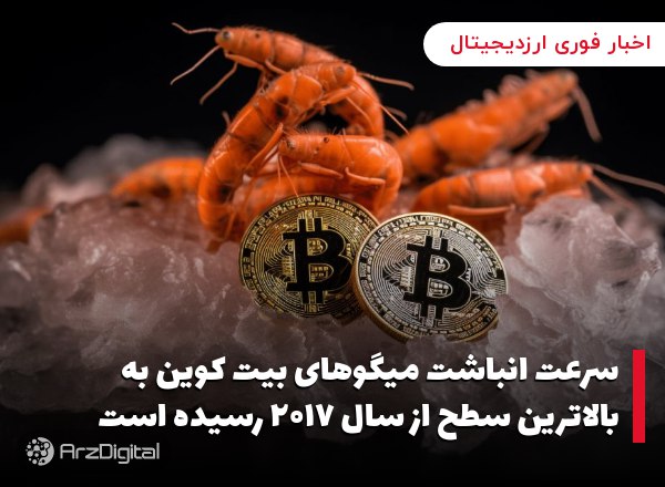 سرعت انباشت میگوهای بیت کوین به بالاترین سطح از سال ۲۰۱۷ رسیده است