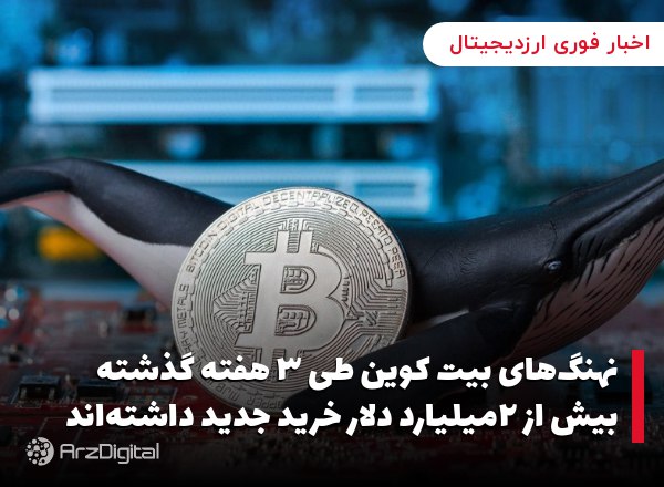 نهنگ‌های بیت کوین طی ۳ هفته گذشته بیش از ۲میلیارد دلار خرید جدید داشته‌اند