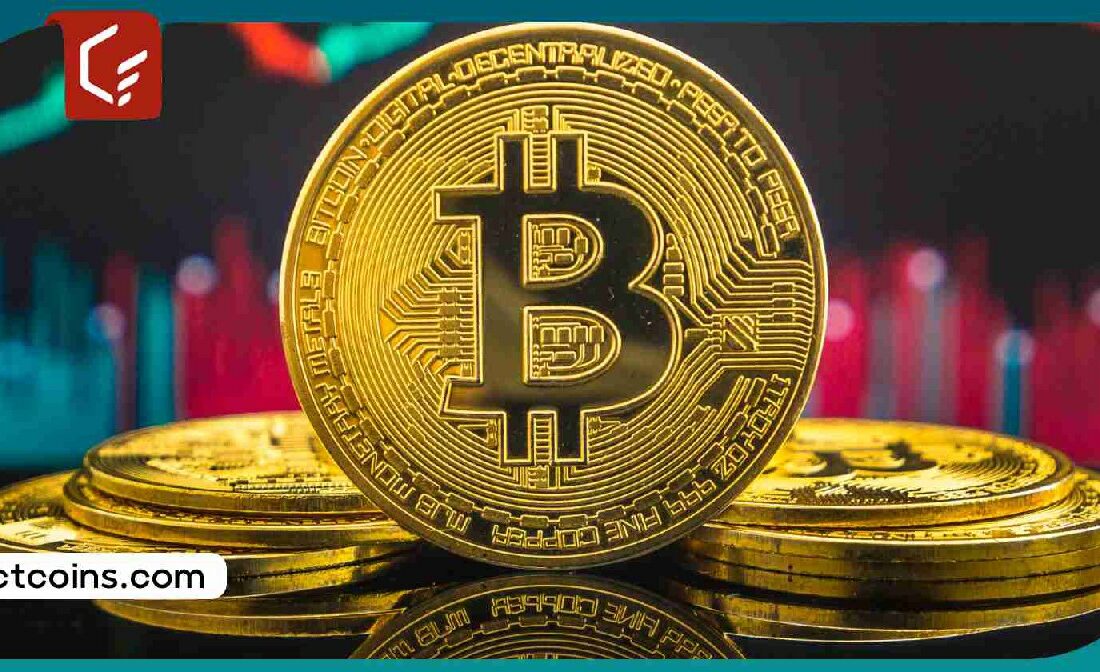 انباشت ۷۱۰۰۰ بیت کوین توسط نهنگ ها و کوسه‌ها، آیا قیمت بیت کوین افزایش می‌یابد؟