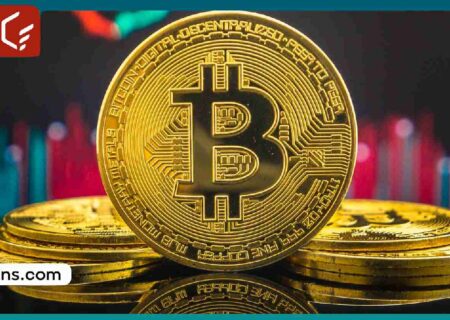 انباشت ۷۱۰۰۰ بیت کوین توسط نهنگ ها و کوسه‌ها، آیا قیمت بیت کوین افزایش می‌یابد؟