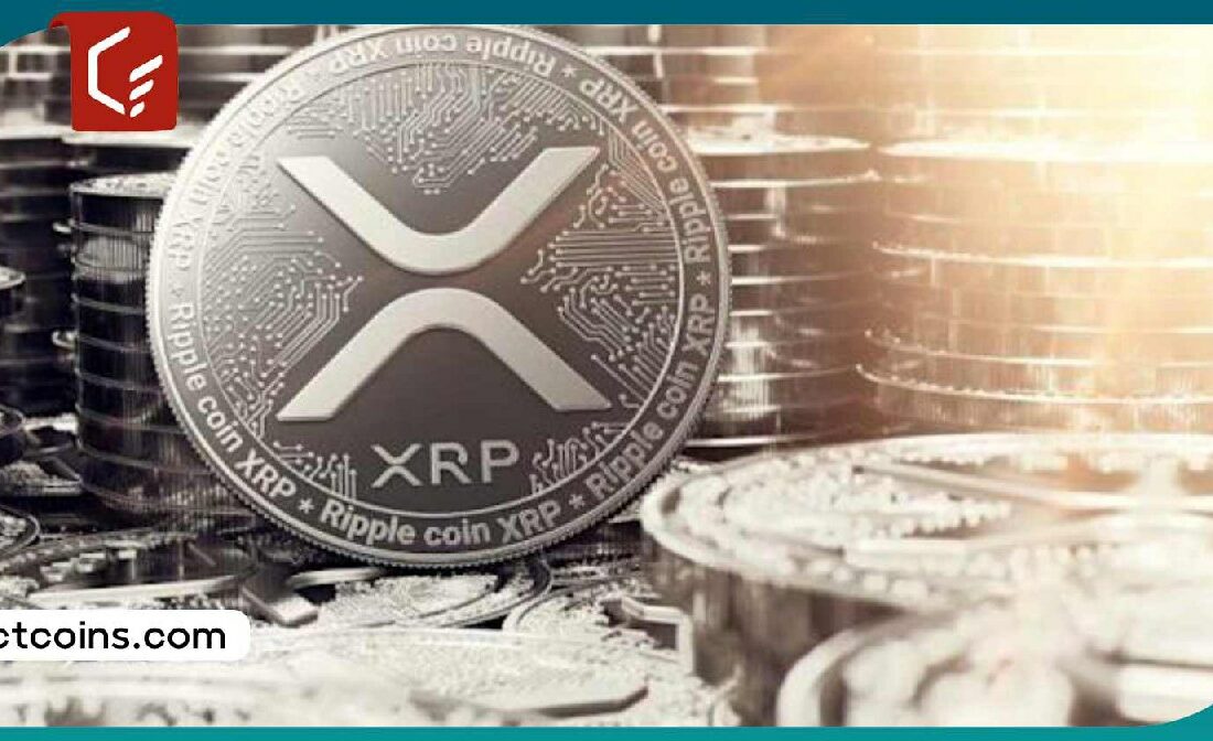 آغاز رالی صعودی XRP: آیا قیمت ریپل به ۱ دلار خواهد رسید؟