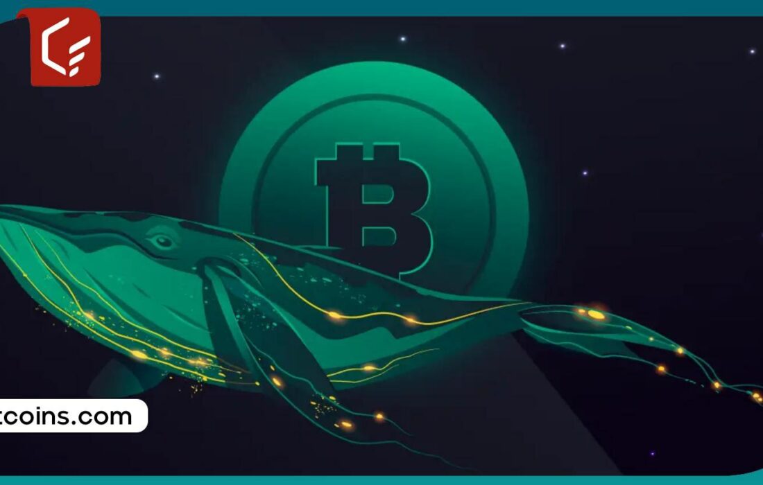 نهنگ قدیمی بیت کوین پس از ۱۱ سال بیدار شد: جابجایی ۳۸ میلیون دلار BTC