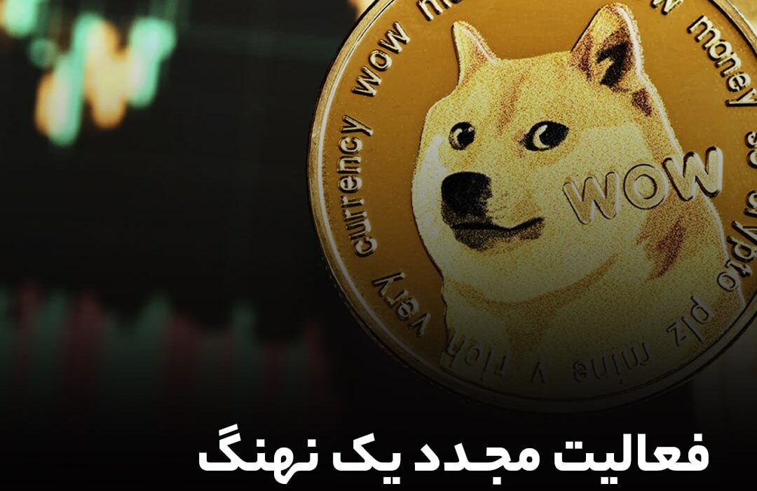 دوج‌کوین بیشترین سود یک روزه در ۴ ماه گذشته را ثبت کرد
