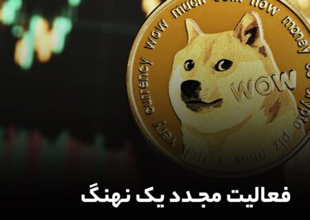 دوج‌کوین بیشترین سود یک روزه در ۴ ماه گذشته را ثبت کرد