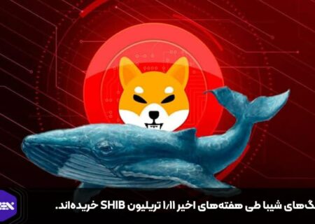 نهنگ‌های شیبا طی هفته‌های اخیر ۱.۱۱ تریلیون SHIB خریده‌اند.