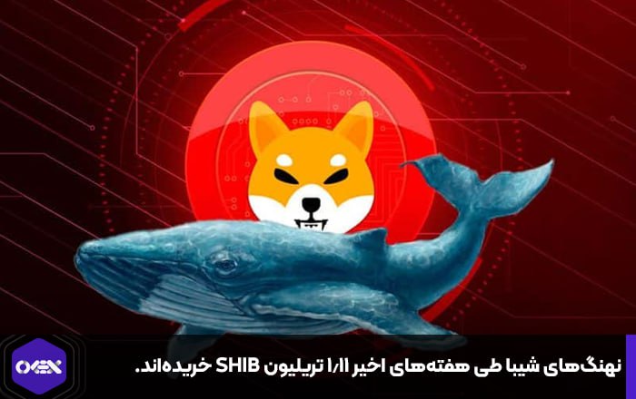 نهنگ‌های شیبا طی هفته‌های اخیر ۱.۱۱ تریلیون SHIB خریده‌اند.