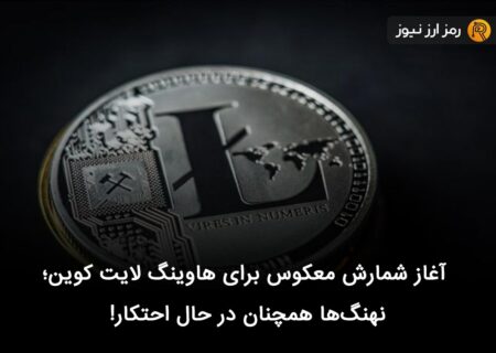 آغاز شمارش معکوس برای هاوینگ لایت کوین؛ نهنگ‌ها همچنان در حال احتکار!