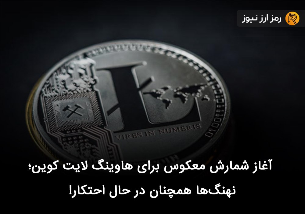 آغاز شمارش معکوس برای هاوینگ لایت کوین؛ نهنگ‌ها همچنان در حال احتکار!