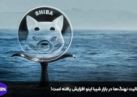 فعالیت نهنگ‌ها در بازار شیبا اینو افزایش یافته است!