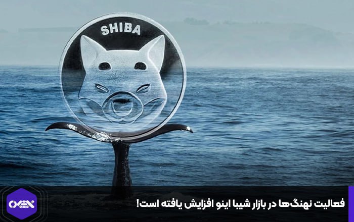 فعالیت نهنگ‌ها در بازار شیبا اینو افزایش یافته است!