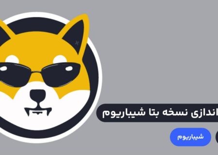 نسخه بتا، مهم‌ترین پروژه ارزدیجیتال سال ۲۰۲۳ یعنی شیباریوم راه اندازی شد. عمده کاربران منتظر ارائه این پروژه و پامپ قیمتی شیبا و سایر توکن‌های این اکوسیستم بودند همزمان با ارائه نسخه بتا شیباریوم توکن‌های SHIBA و BONE با افزایش قیمت ۲۰٪ و ۱۰٪ رو به رو شدند.