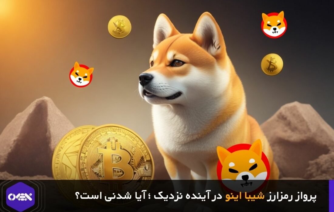 پرواز رمزارز شیبا اینو در آینده نزدیک ؛ آیا شدنی است؟
