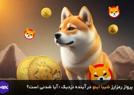 پرواز رمزارز شیبا اینو در آینده نزدیک ؛ آیا شدنی است؟