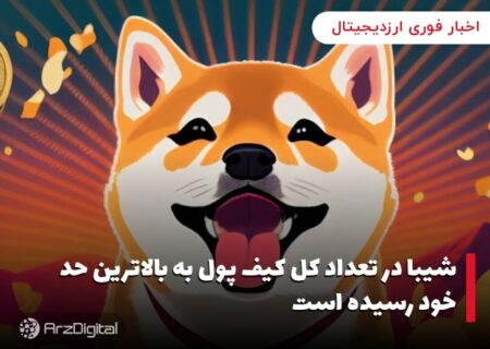 شیبا در تعداد کل کیف پول به بالاترین حد خود رسیده است