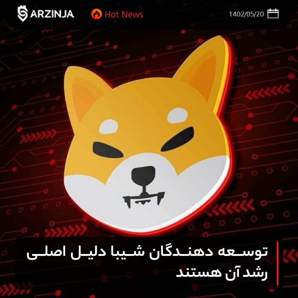 توسعه دهندگان شیبا دلیل اصلی رشد آن هستند