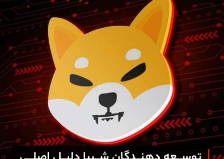 توسعه دهندگان شیبا دلیل اصلی رشد آن هستند
