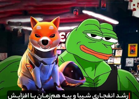 انفجار قیمت شیبا و پپه هم‌زمان با افزایش حضورشان در شبکه‌های اجتماعی