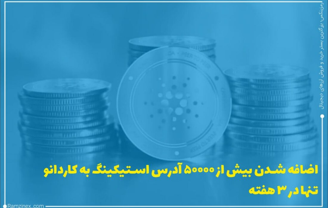 باتوجه‌به داده‌های ارائه شده توسط پول‌تول بیش از ۵۰،۰۰۰ آدرس جدید به کاردانو اضافه است و تعداد کلی آدرس‌های استیک شده خود را در کمتر از یک ماه کمی بیش از ۸ درصد افزایش داده است.