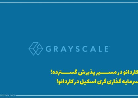 شرکت سرمایه‌گذاری گری اسکیل خبر از افزودن کاردانو (ADA) به صندوق بزرگ دارایی دیجیتال خود داد. به گفته این شرکت، کاردانو بالغ‌بر ۴/۲۶ درصد از حجم کل این صندوق را تشکیل خواهد داد.
