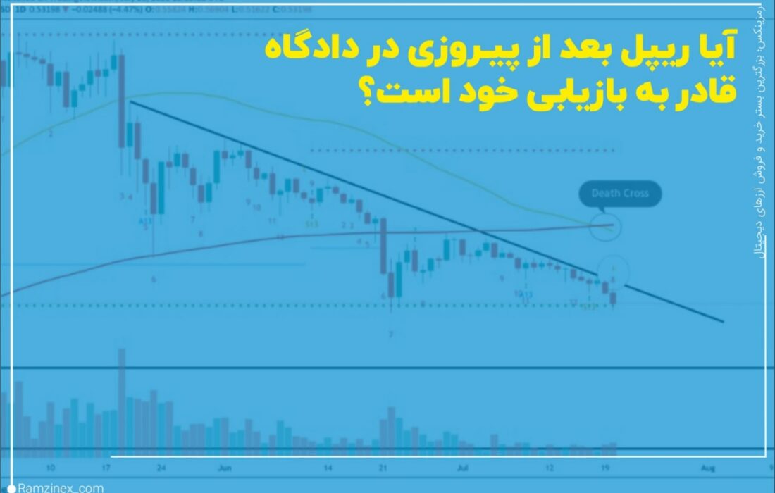 پس از سقوط اخیر رمزارزها که چیزی در حدود ۱۰۰ میلیارد دلار از ارزش بازار را به باد داد، گاوهای ریپل دلایل خوبی برای بالا کشیدن مجدد قیمت ریپل دارند.