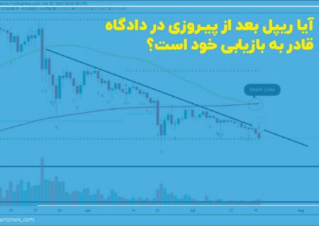 پس از سقوط اخیر رمزارزها که چیزی در حدود ۱۰۰ میلیارد دلار از ارزش بازار را به باد داد، گاوهای ریپل دلایل خوبی برای بالا کشیدن مجدد قیمت ریپل دارند.