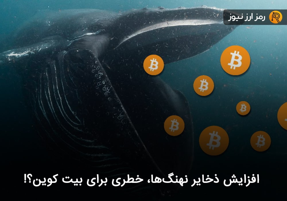 افزایش ذخایر نهنگ‌ها، خطری برای بیت کوین؟!
