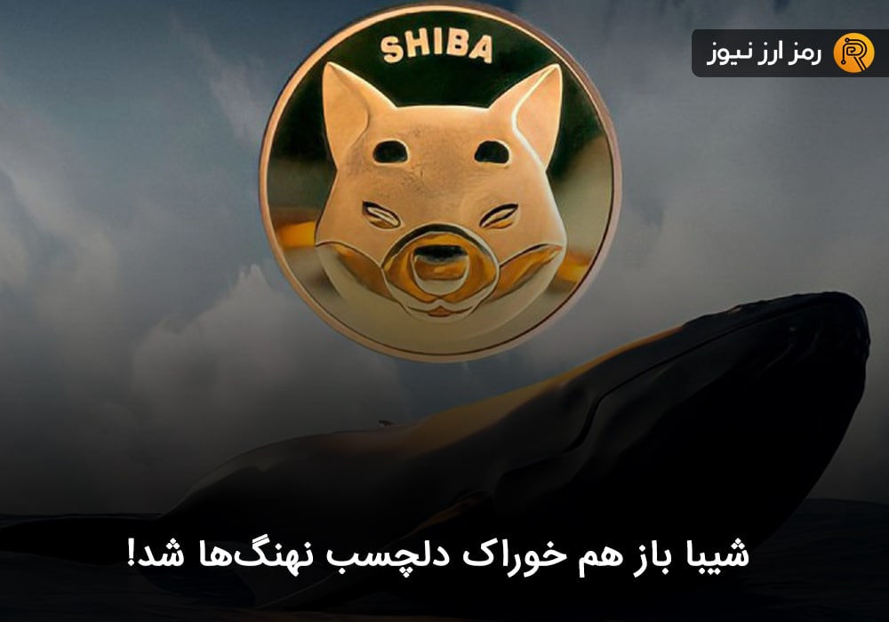 شیبا باز هم خوراک دلچسب نهنگ‌ها شد!