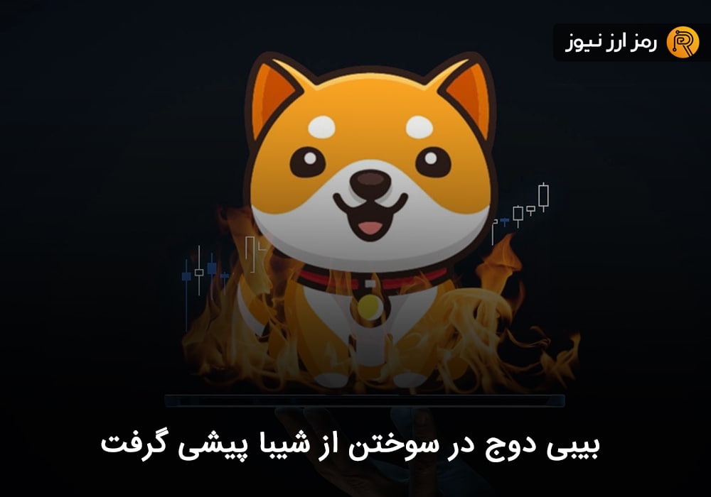 بیبی دوج در سوختن از شیبا پیشی گرفت