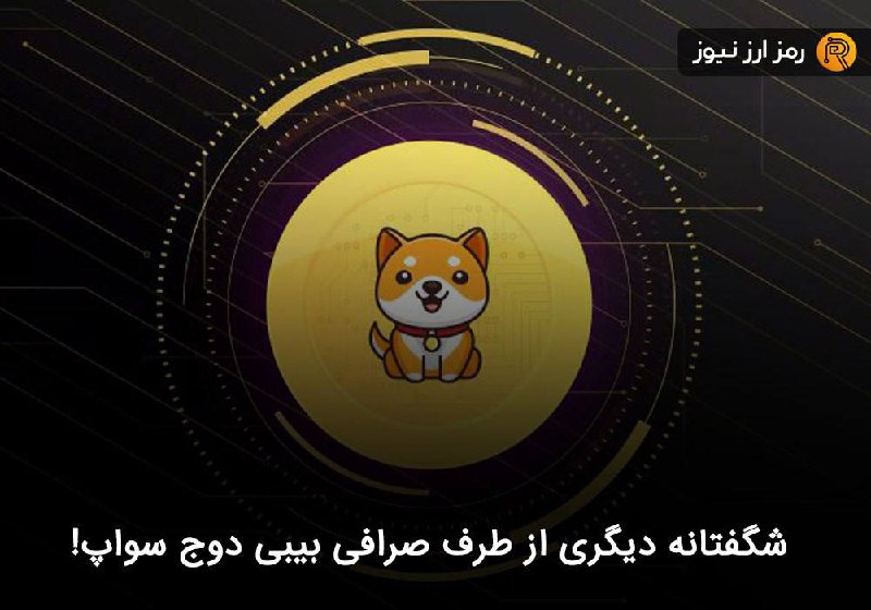 شگفتانه دیگری از طرف صرافی بیبی دوج سواپ!
