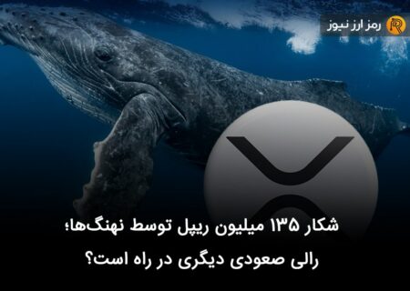 شکار ۱۳۵ میلیون ریپل توسط نهنگ‌ها؛ رالی صعودی دیگری در راه است؟