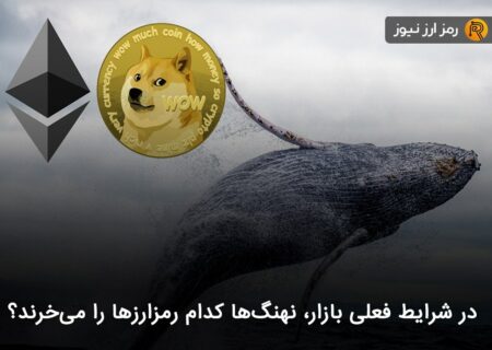 در شرایط فعلی بازار، نهنگ‌ها کدام رمزارزها را می‌خرند؟