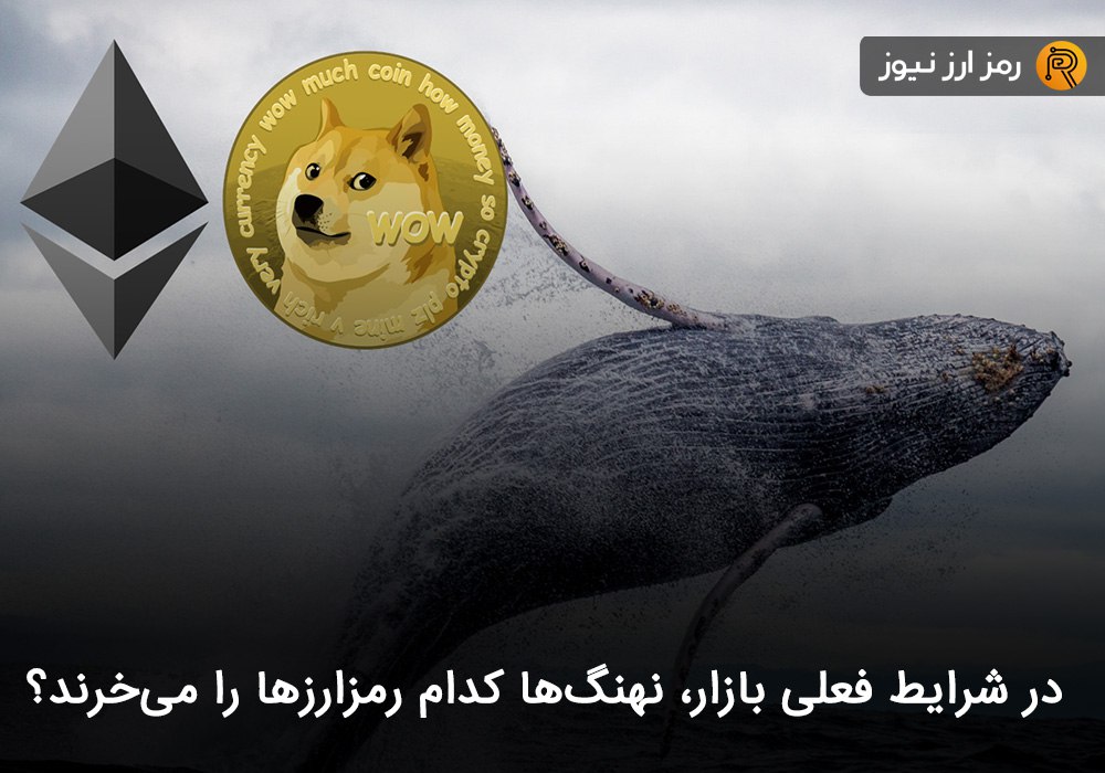 در شرایط فعلی بازار، نهنگ‌ها کدام رمزارزها را می‌خرند؟