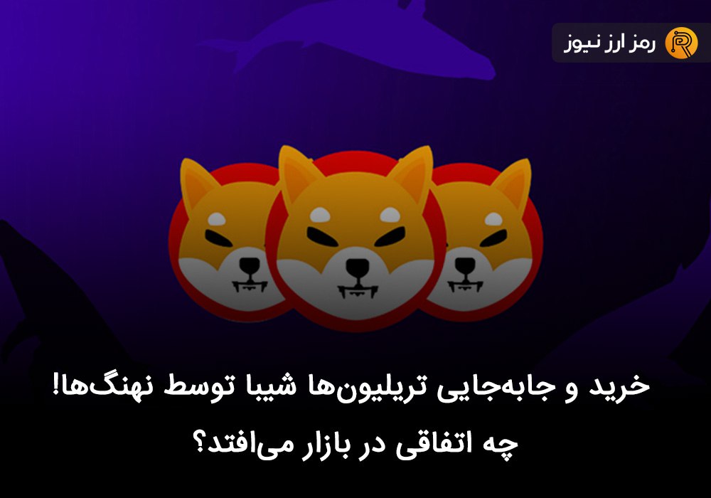 خرید و جابه‌جایی تریلیون‌ها شیبا توسط نهنگ‌ها! چه اتفاقی در بازار می‌افتد؟