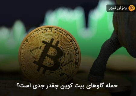 حمله گاوهای بیت کوین چقدر جدی است؟