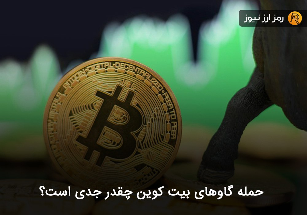 حمله گاوهای بیت کوین چقدر جدی است؟