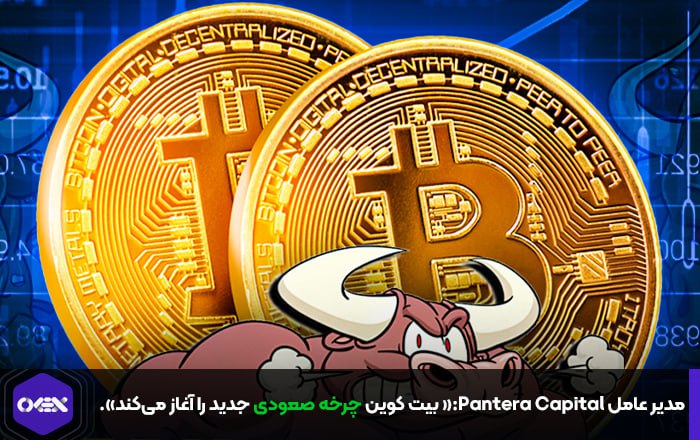 مدیر عامل Pantera Capital:« بیت کوین چرخه صعودی جدید را آغاز می‌کند».