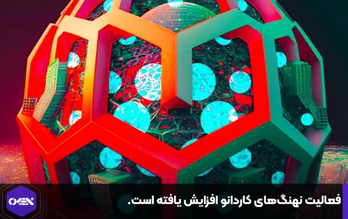 فعالیت نهنگ‌های کاردانو افزایش یافته است.