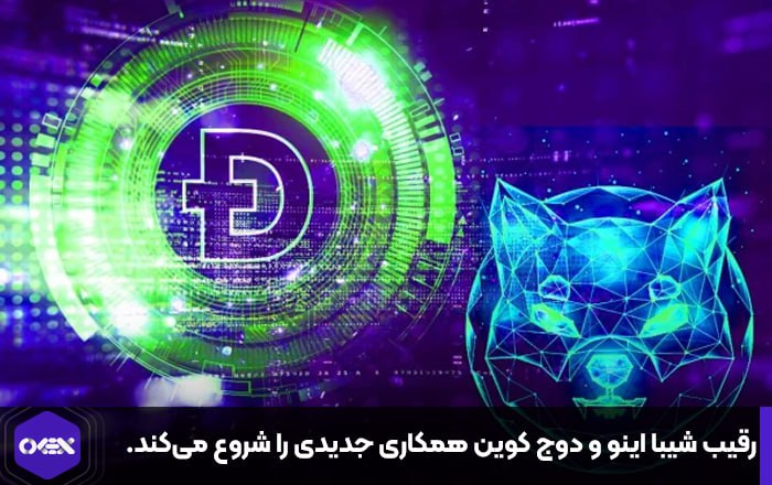 رقیب شیبا اینو و دوج کوین همکاری جدیدی را شروع می‌کند.