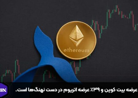 ۱۱٪ عرضه بیت کوین و ۳۹٪ عرضه اتریوم در دست نهنگ‌ها است.