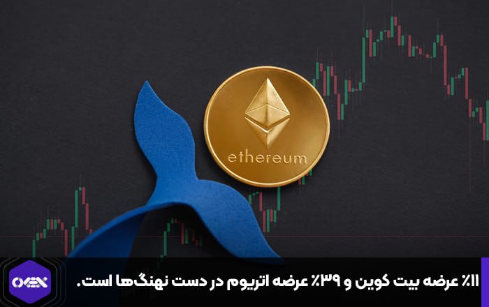 ۱۱٪ عرضه بیت کوین و ۳۹٪ عرضه اتریوم در دست نهنگ‌ها است.