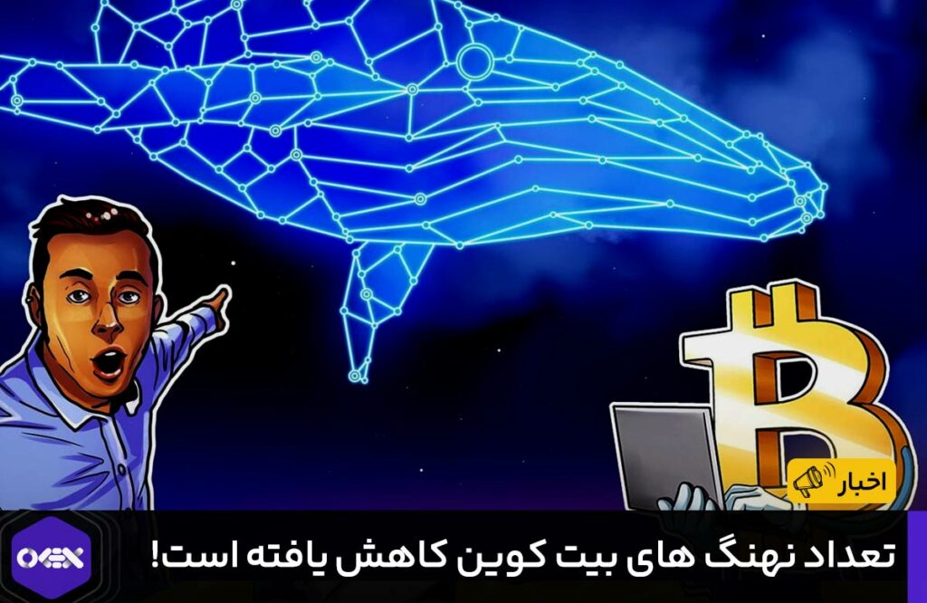 تعداد نهنگ های بیت کوین کاهش‌ یافته‌ است!