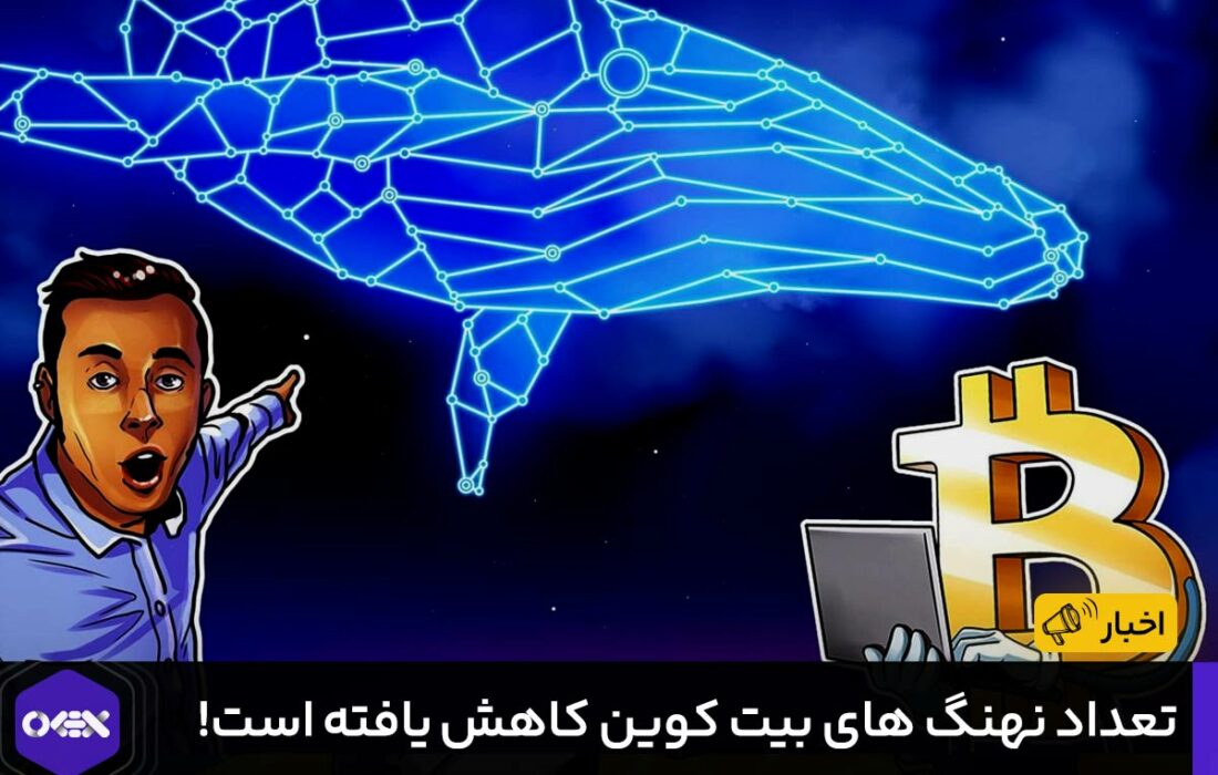 تعداد نهنگ های بیت کوین کاهش‌ یافته‌ است!