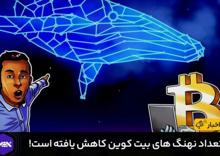 تعداد نهنگ های بیت کوین کاهش‌ یافته‌ است!