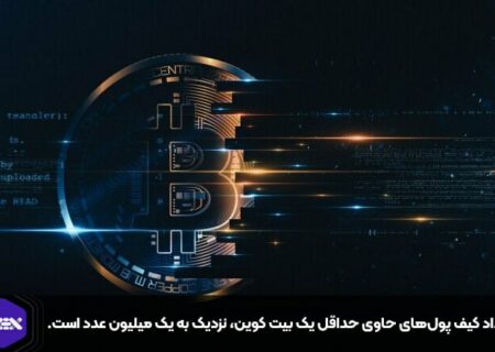 تعداد کیف پول‌های حاوی حداقل یک بیت کوین، نزدیک به یک میلیون عدد است.
