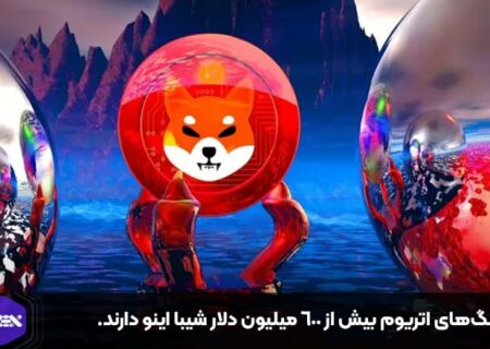 نهنگ‌های اتریوم بیش از ۶۰۰ میلیون دلار شیبا اینو دارند.